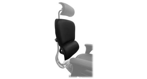 Keep your current chair, just replace the chair back with the Raynor Ergohuman Chair Replacement Leather Back for LE9ERG and LE10ERGLO