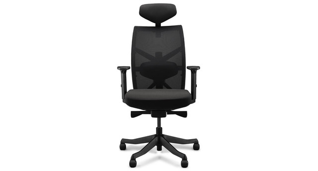 Verte Chair, Best Ergonomic Chair, Lumbar Support Chair