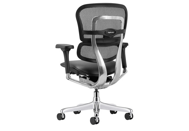 Raynor Ergohuman Mesh Chair with Leather Seat LEM6ERGLO | UPLIFT Desk