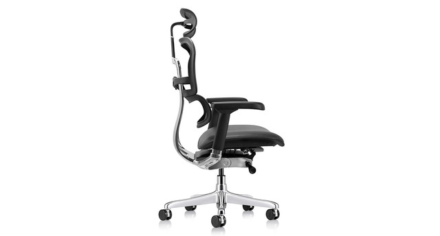 Raynor Ergohuman Mesh Chairs - Leather Seat LEM4ERG | UPLIFT Desk
