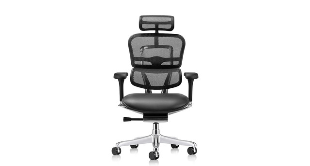 Raynor Ergohuman Mesh Chairs - Leather Seat LEM4ERG | UPLIFT Desk