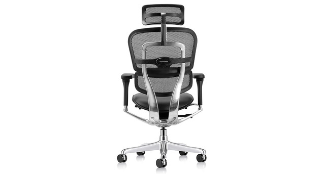 Raynor Ergohuman Mesh Chairs - Leather Seat LEM4ERG | UPLIFT Desk Raynor Ergohuman Mesh Chairs - Leather Seat LEM4ERG | UPLIFT Desk