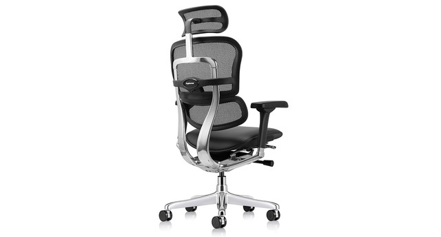 【美品】RAY CHAIR Raynor Ergohuman Mesh Chairs - Leather Seat LEM4ERG | UPLIFT Desk