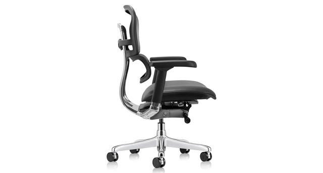 Raynor Ergohuman Leather Chair LE10ERGLO | UPLIFT Desk