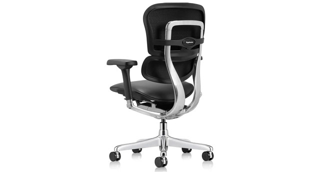 Raynor Ergohuman Leather Chair LE10ERGLO | UPLIFT Desk