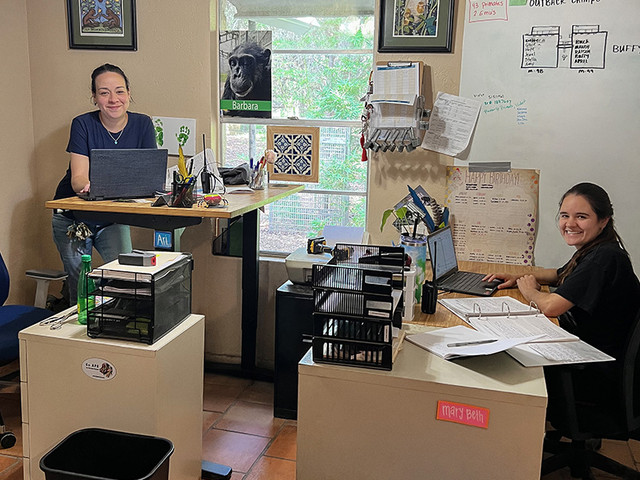 Primarily Primates: Desk Donation Spotlight | UPLIFT Desk