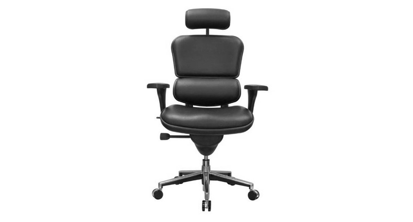 Raynor Ergohuman Leather Chair with Headrest LE9ERG UPLIFT Desk