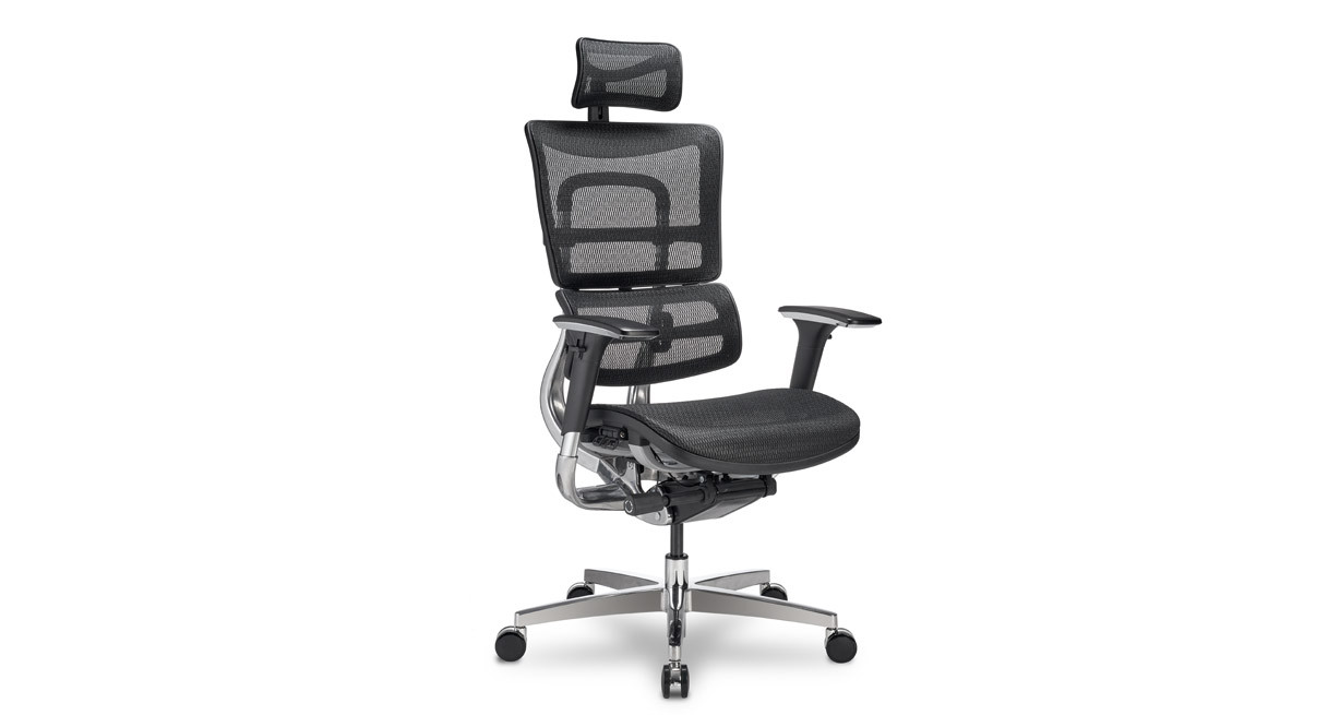 Office Star Black Dual Function Ergonomic Chair