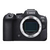 Canon EOS R6 Mark II Cuerpo