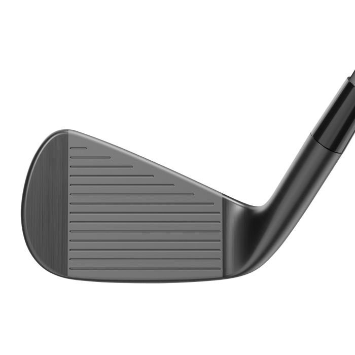 TaylorMade P790 Designer Series Battle Worn Irons 2025