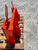 Washburn Company's hayspear.com take on the Kubota R520 Loader To Skid Steer Attachments Adapter. The adapter comes with all new pins to plug and go with your new universal skid steer. With this kubota R520 conversion you can now conveniently run any skid steer equipment directly from your Kubota tractor. Skid steer is considered "universal", run your universal skid steer bale spear, pallet fork, bucket and much more. Contact us today at 800-283-7107 or locally at 417-682-5551. 