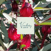 Vanbery Jam Co