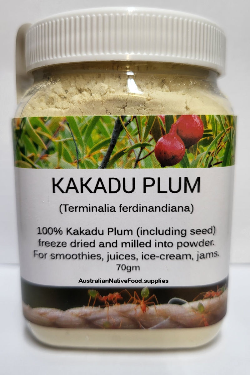 Kakadu Plum, Billygoat Plum an Australian Native Bush Food Taste