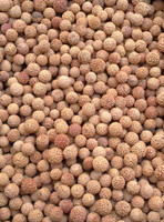 Quandong Seeds (mixed sizes)