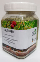 Saltbush | Australian Native Food Supplies