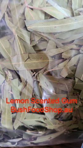 Lemon Scented Gum | Taste Australia Bush Food Shop