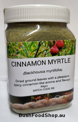 Cinnamon Myrtle | Australian Native Food Supplies