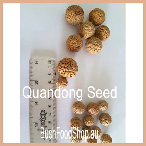 Quandong Seed | Taste Australia Bush Food Shop