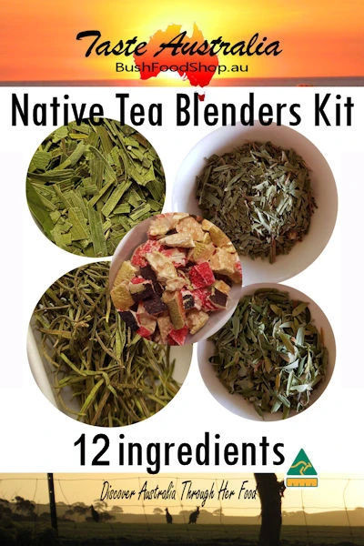 Native tea Blenders Kit