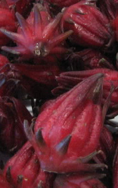 Wild Rosella Curry Rub