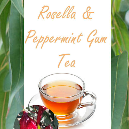 Rosella Peppermint Gum Tea