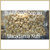 australian macadamia nut | taste australia bush food shop