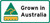 Cinnamon Myrtle | Taste Australia Bush Food Shop Cinnamon Myrtle | Taste Australia Bush Food Shop