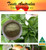 Crystal Ice Plant Powder | Taste Australia Bush Food Shop