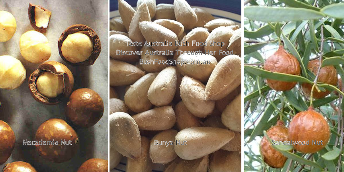 Australian Native Nuts