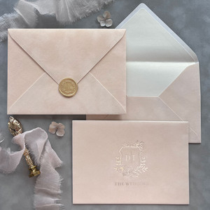 nude velvet envelopes