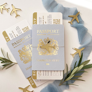 Baby Blue & Gold Passport 