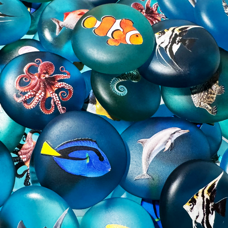 Aquarium Stone Assortment