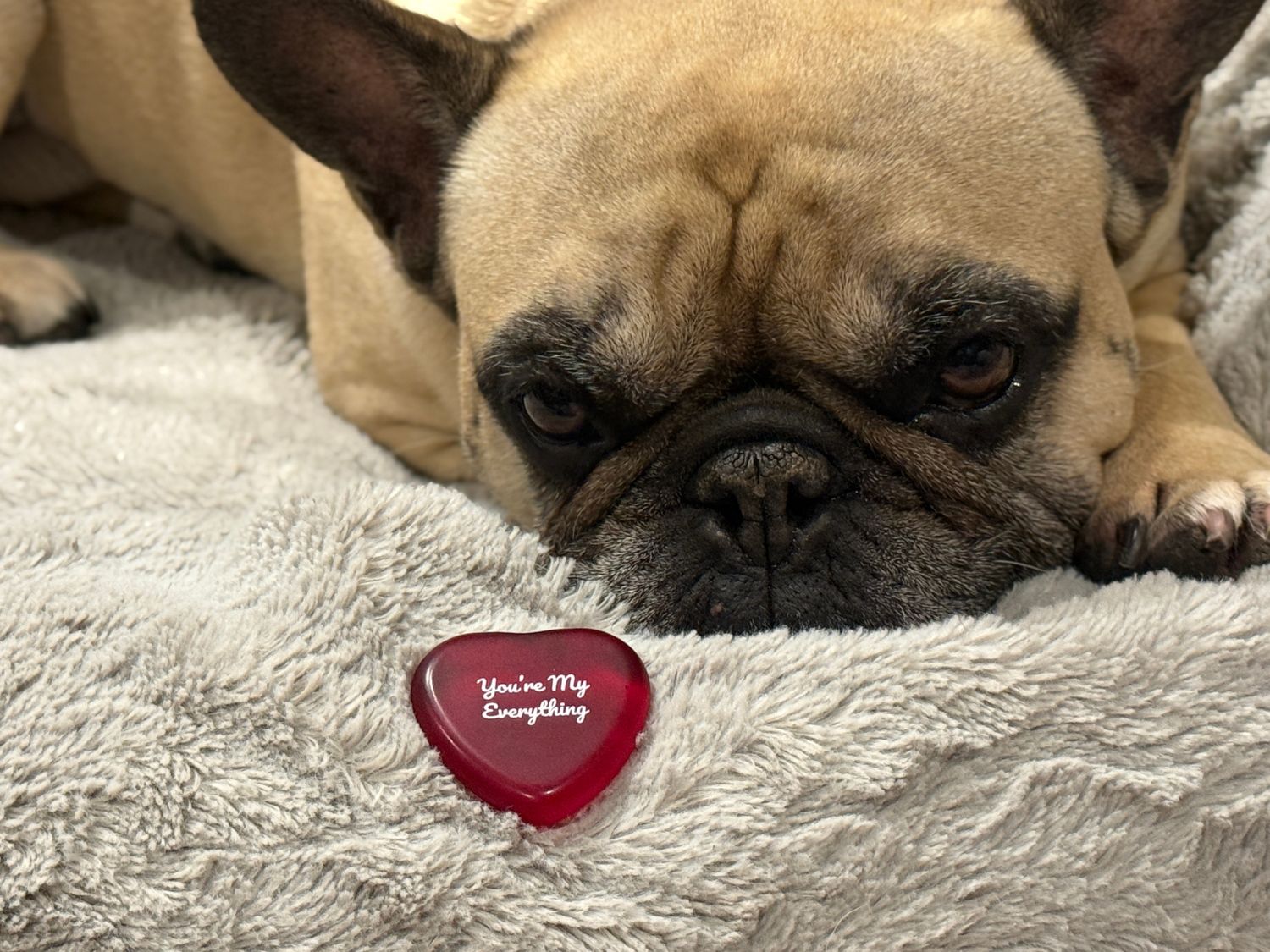 Unique Wholesale Gifts: Perfect for Valentine’s Day Displays