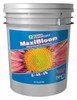 GH MaxiBloom 50 lb - 1