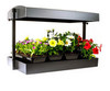 LED - Growlight Garden - Black