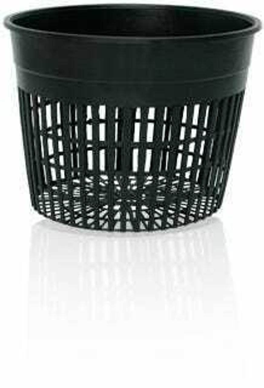 6" Net Pot, pack of 50