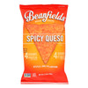 Beanfields - Bean Chip Spicy Queso - Case of 6 - 5.5 OZ