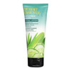 Desert Essence - Fcl Lotion Cucumber/aloe - 1 Each - 3.4 FZ Desert Essence - Fcl Lotion Cucumber/aloe - 1 Each - 3.4 FZ