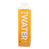 Just Water - Water Lemon - Case of 12 - 16.9 FZ Just Water - Water Lemon - Case of 12 - 16.9 FZ