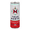 True North - Energy Drink Watermelon Mist - Case of 12-12 FZ