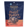Niagra Chocolates - Chocolate Milk Peanut Butter Cups - Case of 6-4.5 OZ Niagra Chocolates - Chocolate Milk Peanut Butter Cups - Case of 6-4.5 OZ