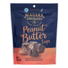 Niagra Chocolates - Chocolate Milk Peanut Butter Cups - Case of 6-4.5 OZ