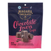 Niagra Chocolates - Chocolate Lovers Mini Cup - Case of 6-4.5 OZ