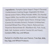 Creative Snacks - Pretzels Pumpkin Spice Yogurt - Case of 6-9 OZ