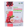 Patience Fruit & Co. Organic Cranberries, Sweetened with Apple Juice Pouch- Case of 6 - 8 OZ