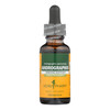 Herb Pharm - Andropgraphis Extract - 1 Each-1 FZ