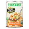 Health Valley Organic Soup - Chicken Noodle No Salt Added - Case of 12 - 15 oz.