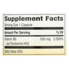 Nature's Way - Vitamin B-6 - 100 mg - 100 Capsules