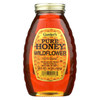 Gunter Pure Wildflower Honey - Case of 12 - 16 oz.