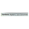 Dynamic Health - Concentrate Blueberry - EA of 1-16 FZ